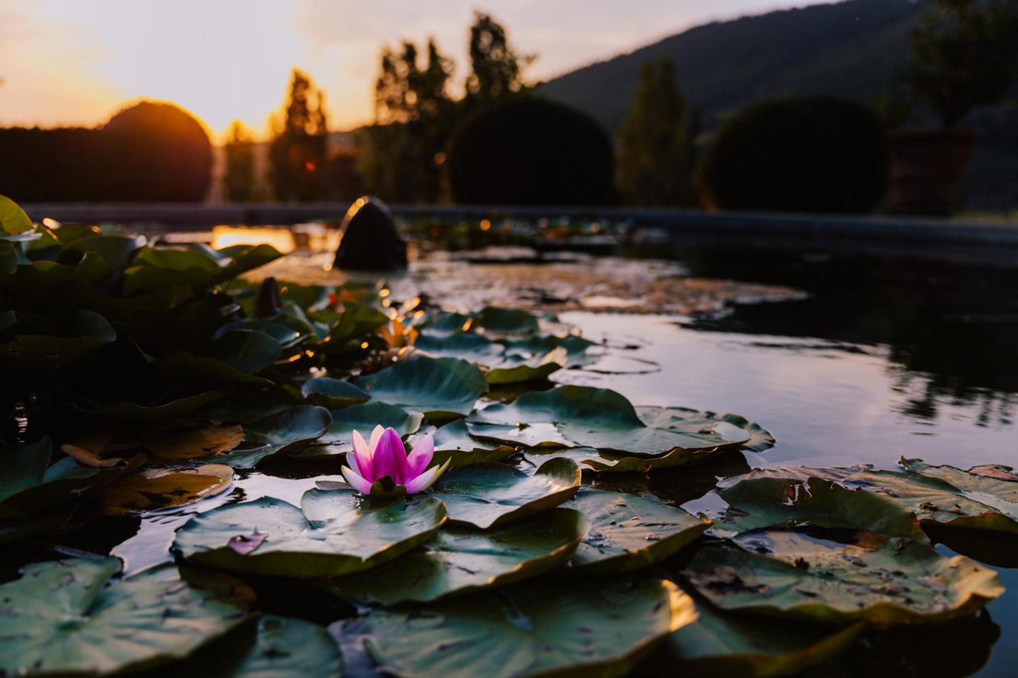 Villa Rucellai Prato  Dış mekan fotoğraf
